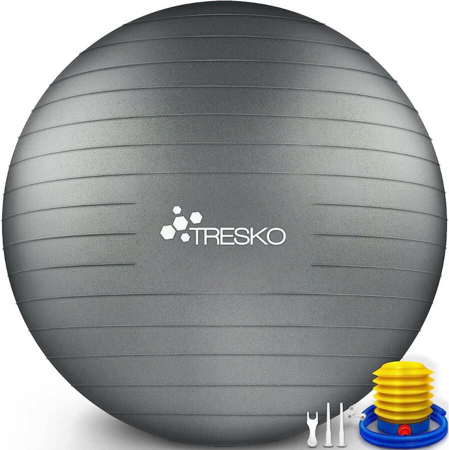 Tresko Fitnessbal yogabal met pomp diameter 65 cm Grijs