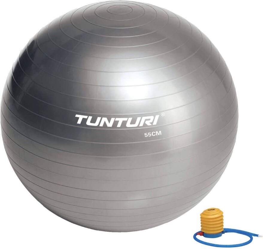 Tunturi fitnessbal 55 cm zilver