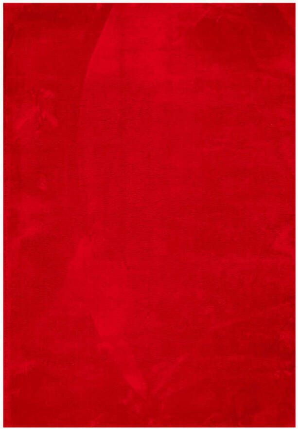 VidaXL Vloerkleed HUARTE laagpolig zacht wasbaar 120x170 cm rood