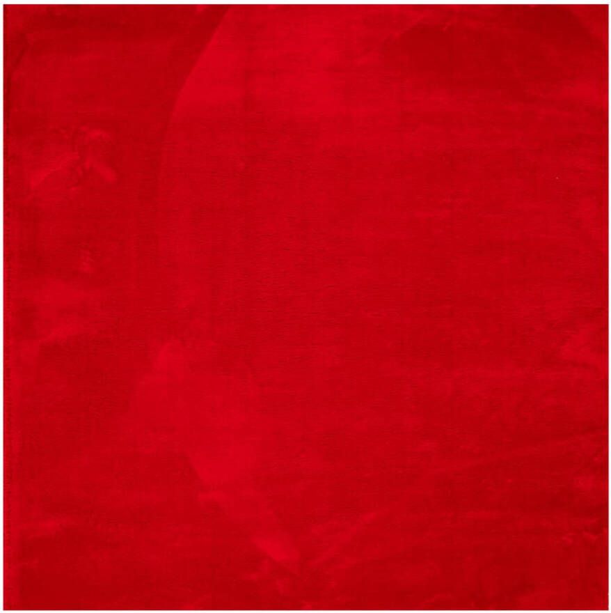 VidaXL Vloerkleed HUARTE laagpolig zacht wasbaar 160x160 cm rood