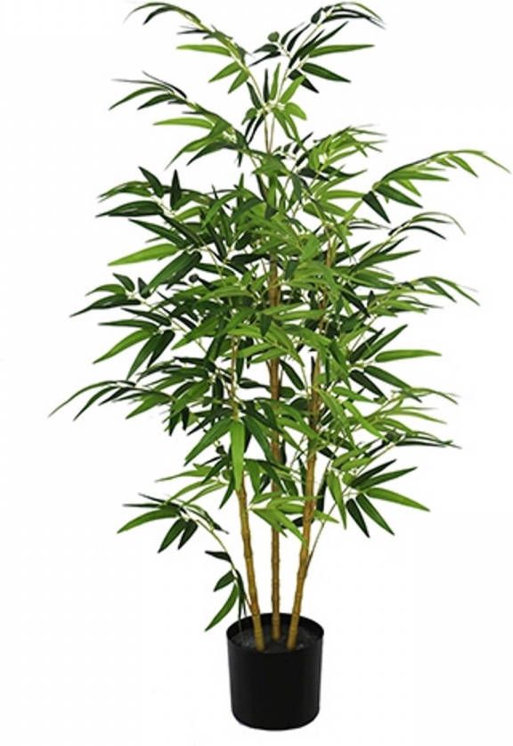 Warentuin Bamboe groen 120 cm
