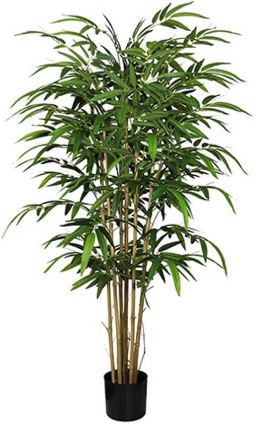 Warentuin Bamboe groen 155 cm