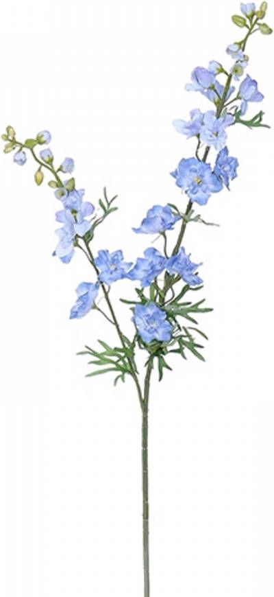 Warentuin Delphinium tak l.blue