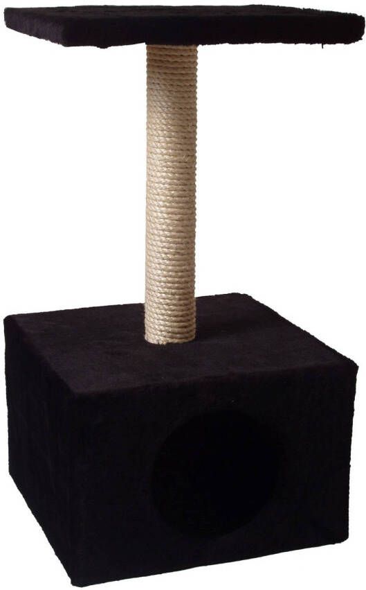 Warentuin Klimmeubel Diabolo zwart 57 cm
