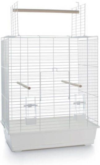 Warentuin Vogelk Big Ara Open Wit 54x34x68 5 Pet Products