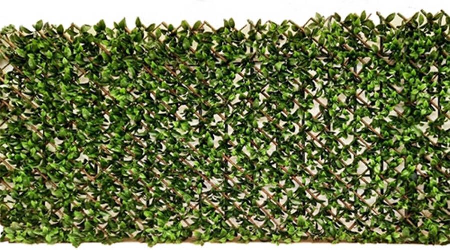 Warentuin Willow Fence uitvouwbaar 100x200 cm