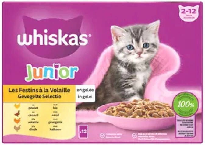 Whiskas Junior Gevogelte Selectie in gelei maaltijdzakjes multipack 12x85g dierensnack