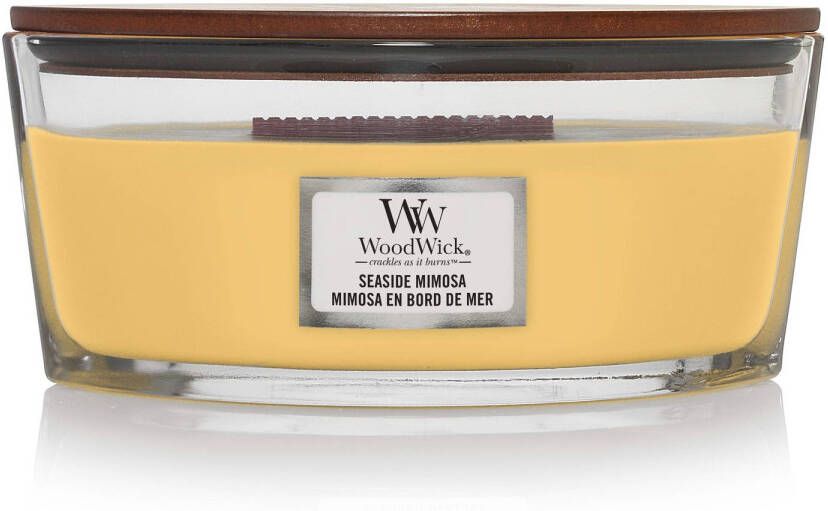 Woodwick Geurkaars Ellipse Seaside Mimosa 9 cm 19 cm