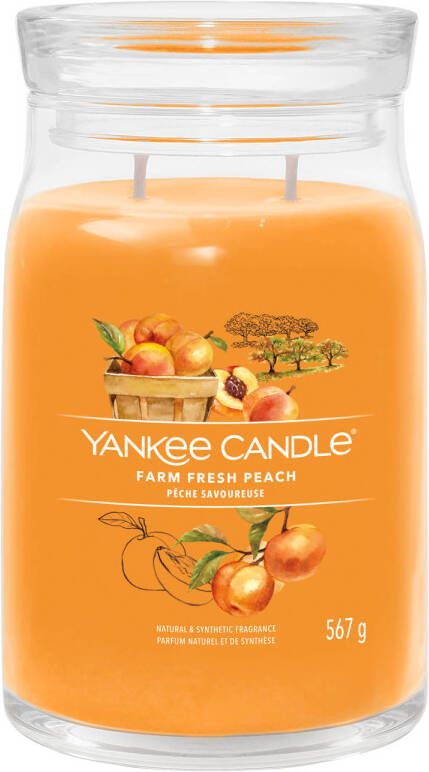 Yankee Candle Geurkaars Large met 2 lonten Farm Fresh Peach 16 cm ø 9 cm