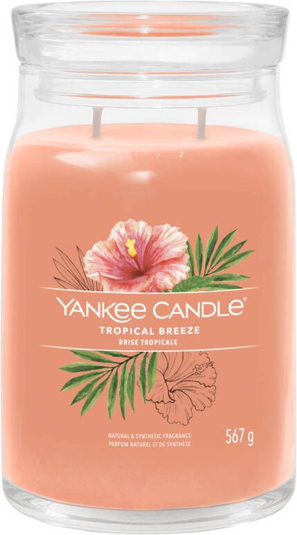 Yankee Candle Geurkaars Large met 2 lonten Tropical Breeze 16 cm ø 9 cm