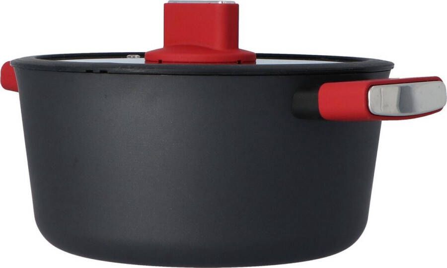 Secret de Gourmet PFAS Vrij Aluminium Braadpan met siliconen handvat 25 cm zwart rood