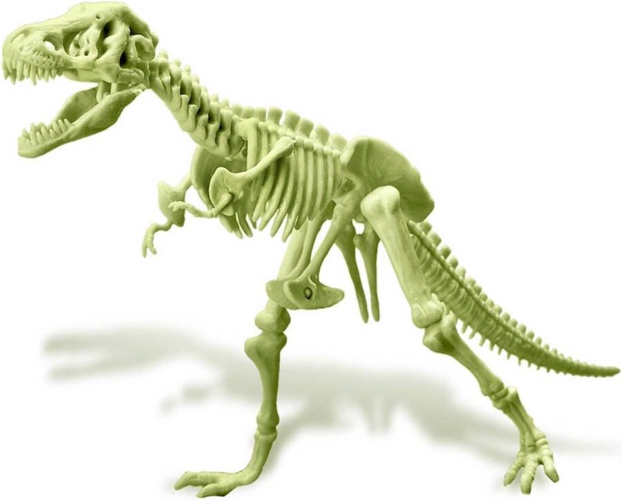 4M T-Rex Skelet Glow In The Dark