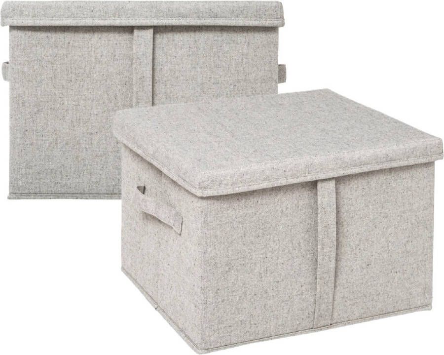 5five Opbergdoos box met deksel 2x lichtgrijs L35 x B31 x H25 cm Stevig karton polyester 27 liter