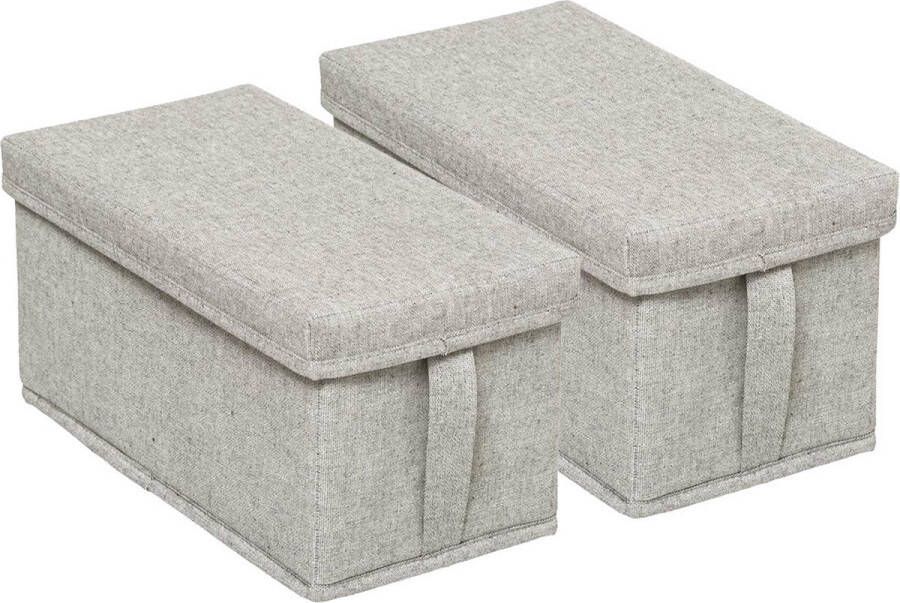 5five Opbergdoos box met deksel 2x lichtgrijs L50 x B31 x H25 cm Stevig karton polyester 14 liter