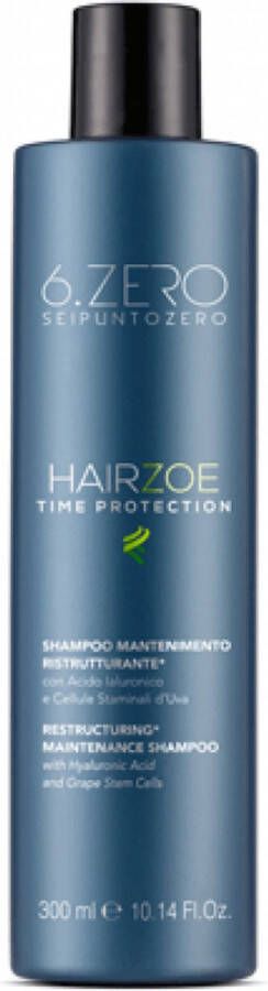 6.zero HAIRZOE Maintenance Shampoo