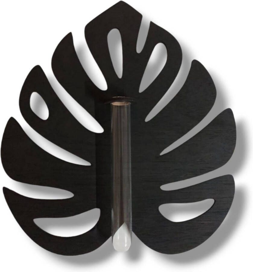 76%ANDERS Monstera large stekstation zwart hout met ophangsysteem stek station vaasje glaasje set hydrocultuur stekjes droogbloemen reageerbuis