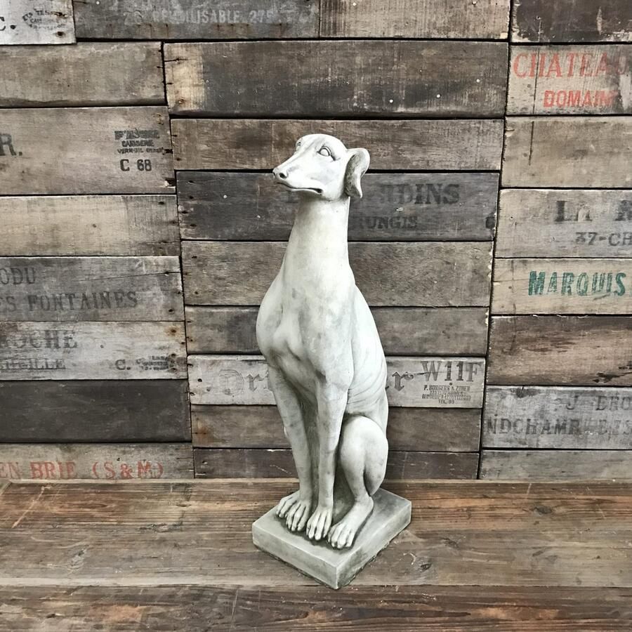 A&S Estates Betonnen tuinbeeld hond kleine hazenwind windhond greyhound