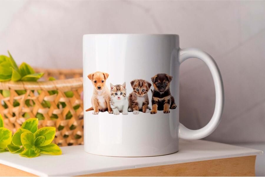 AAA+ Mok Pompoen & Speculaas PuppyLove PuppyLife CutePuppy PuppyLiefde PuppyLeven SchattigePuppy