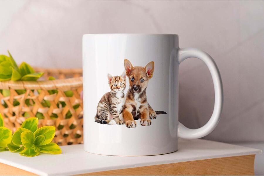 AAA+ Mok Vlindertjes PuppyLove PuppyLife CutePuppy PuppyLiefde PuppyLeven SchattigePuppy