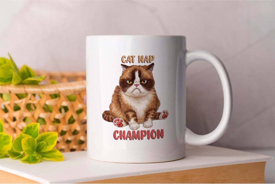 AAA+ Mok Cat Nap Champion Funny Hilarious LOL Comedy Grappig Lachen Gek Grapjes Humoristisch Lachmoment