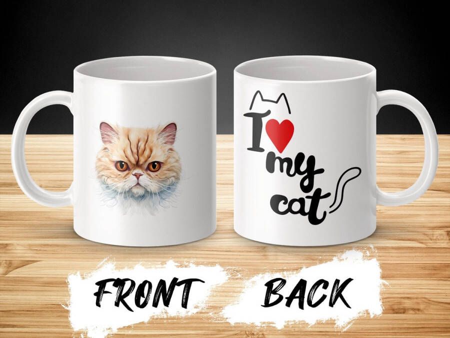 AAA+ Mok Exotic Shorthair cat kat I love my cat lovers katten