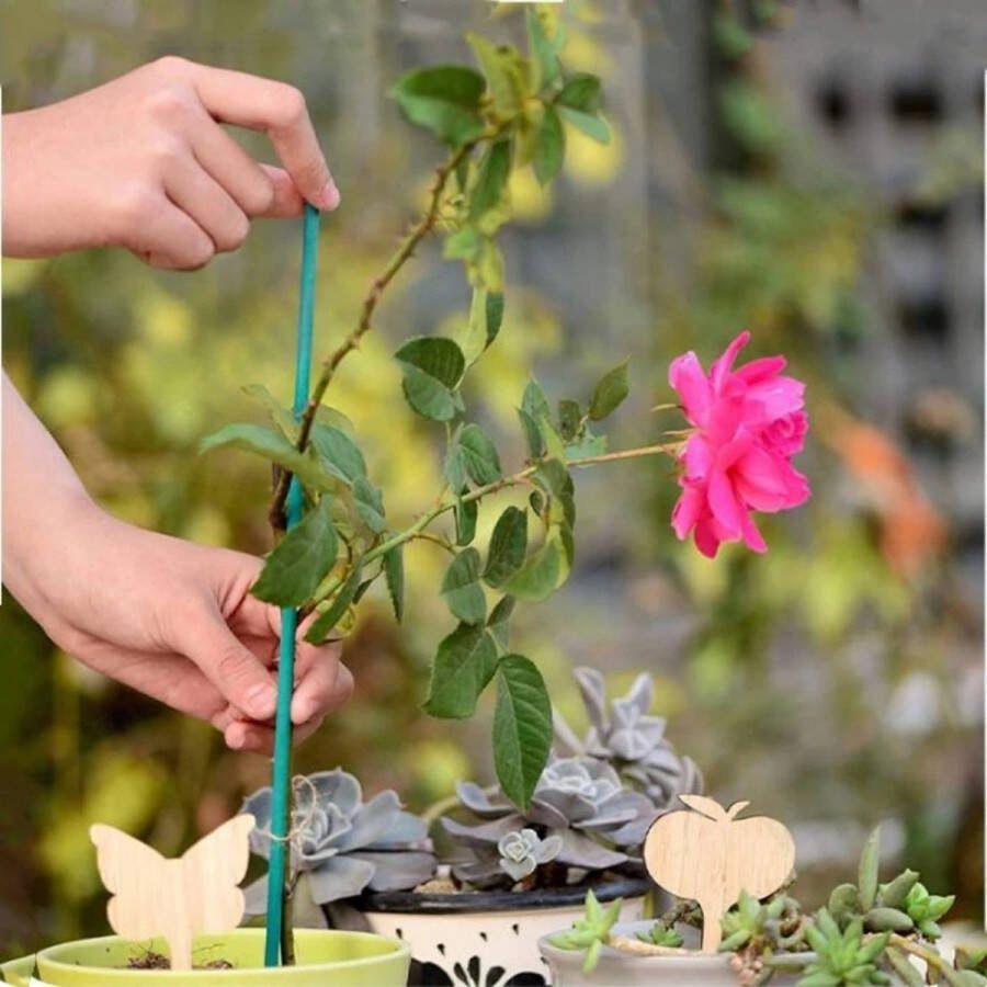 Adore Maison 20x Plantenstokken tonkinstokken donkergroen 40 cm plantensteunen plantstokken -klimstok mosstok tuinstokken bamboekstokken plantstokken
