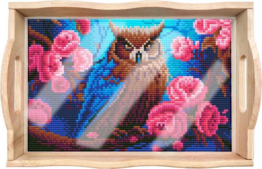 Adorzy Diamond Painting Dienblad Uil – Diamond Painting Volwassenen – Diamond Painting Volledig Pakket DIY Pakket