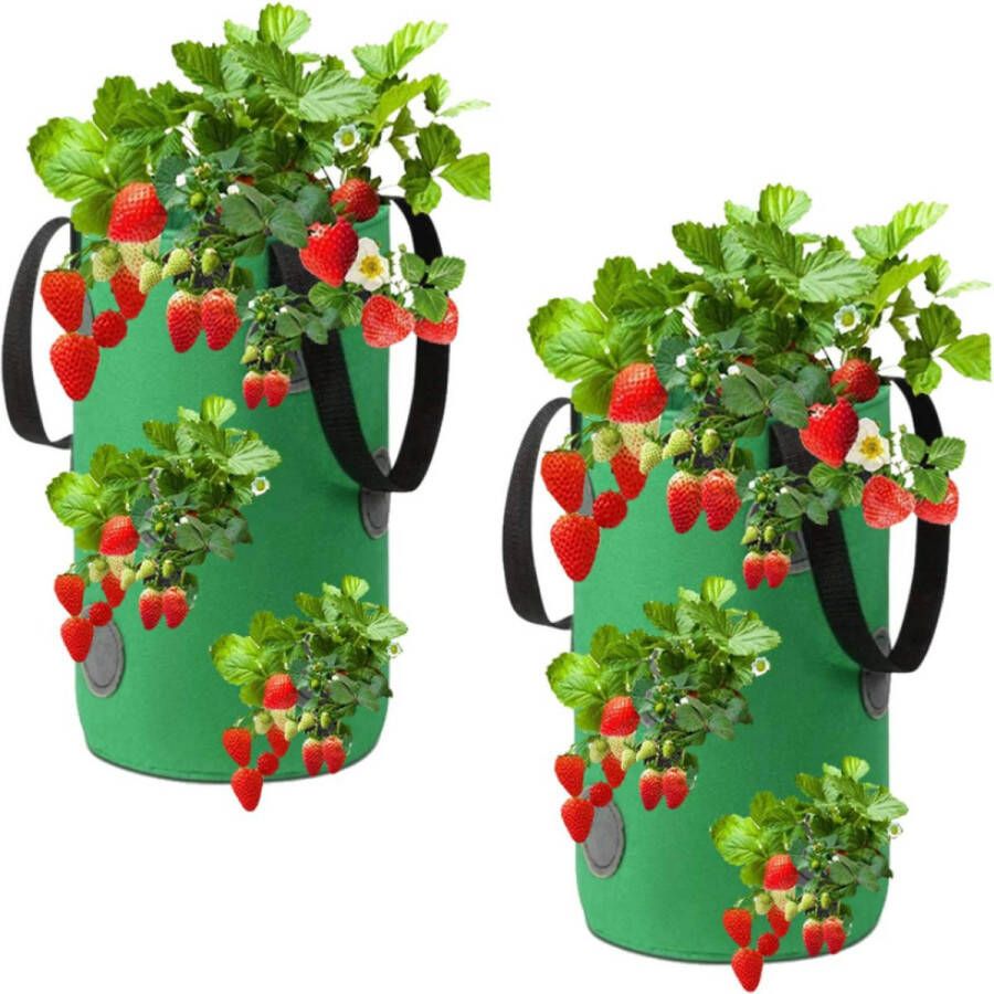 A.K.A. Aardbei Grow Bags 2 Pack Opknoping Non-woven Stof Tuinen Aardbei Planten Groeiende Zak met 13 Gaten Aardbeien Plant Kweekt Zakken voor Tuin Aardbeien Kruiden Bloemen (20x35cm) (Groen)