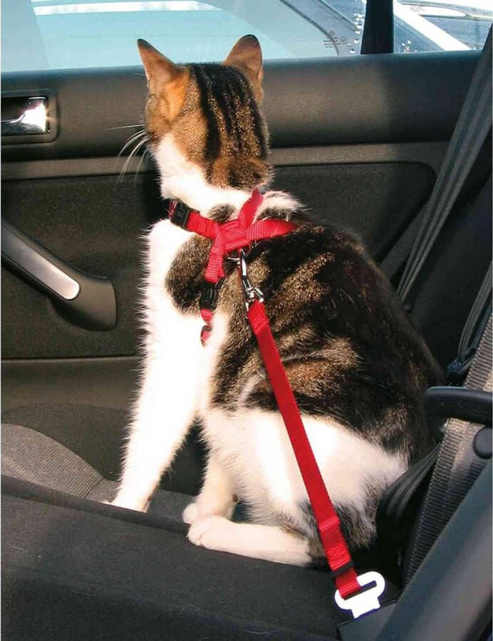 A.K.A. Kattentuigje voor in de auto | Kattenharnas rood