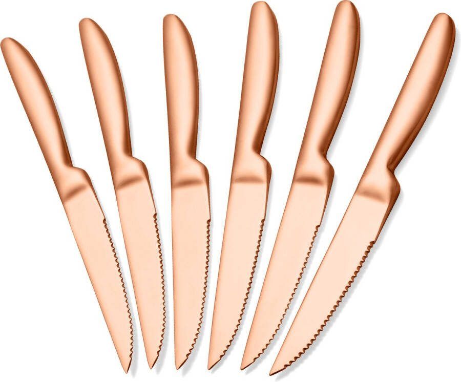 Alheco 6 stuks steakmessen RVS 6-delige messenset 22cm Rosé goud