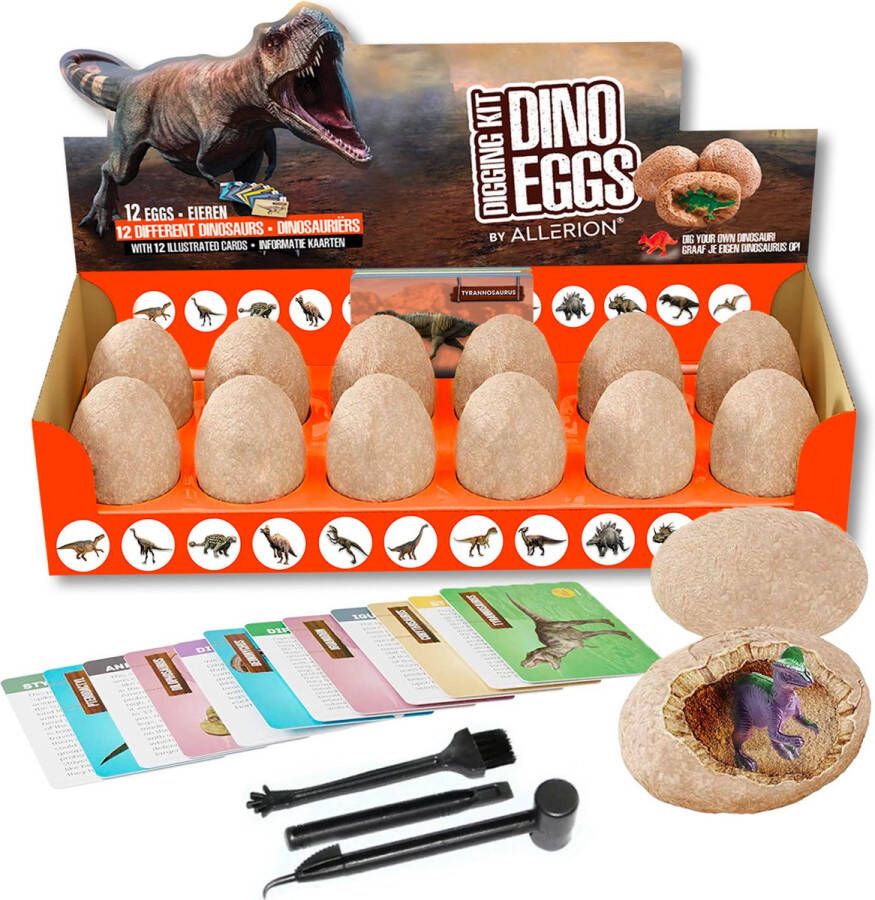 Allerion Dino Graaf Kit 12 Dino Eieren – Speelset Archeologie Educatief Speelgoed Inclusief Borstels Beitels en Informatiekaartjes