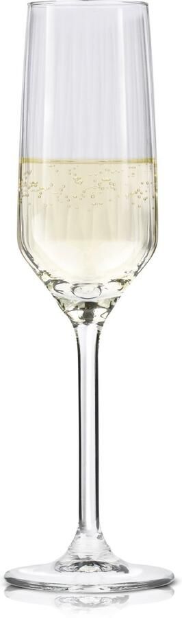 Alpina Champagneglazen 22cl Champagne Glazen Set 4 stuks ook Geschikt als Cava en Prosecco Glazen Champagneflutes Vaatwasserbestendige Glazenset