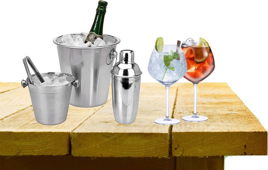 Alpina Complete bar set met 4x Gin Tonic cocktailglazen en cocktailshaker Cocktailglazen