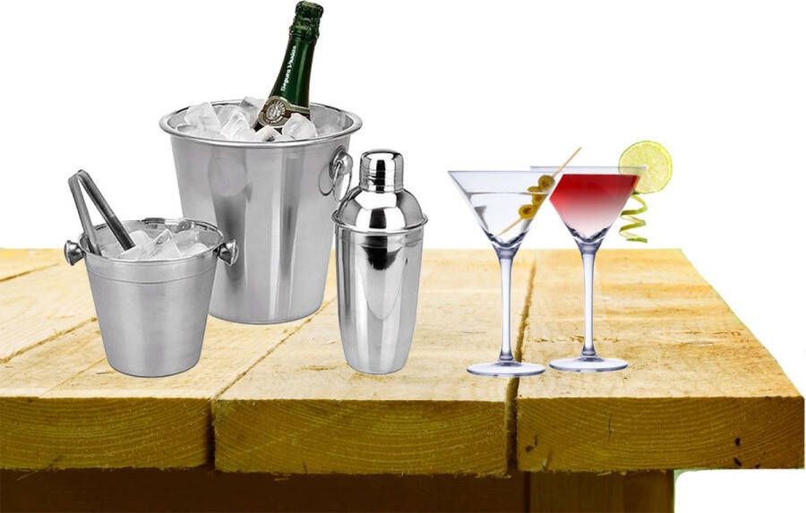 Alpina Complete bar set met 4x Martini cocktailglazen en cocktailshaker Cocktailglazen