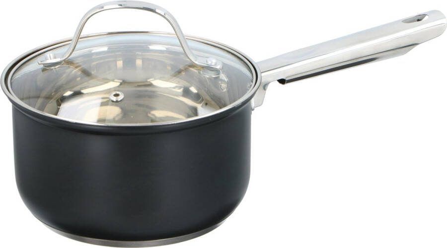 Alpina Kitchen & Home Steelpan met deksel RVS 1 5 l voor alle warmtebronnen