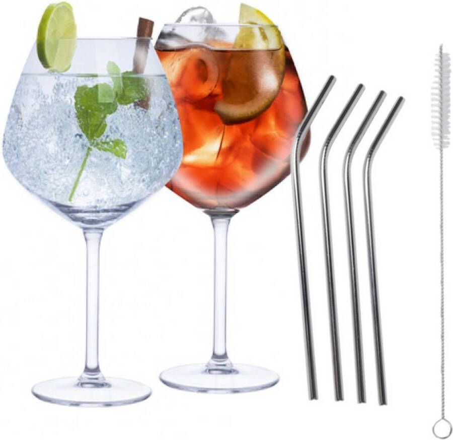 Alpina Set van 4x Gin Tonic cocktailglazen met 4x herbruikbare rietjes RVS 730 ml Cocktails drinken Cocktails