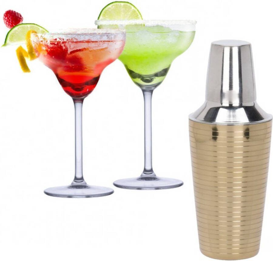Alpina Set van 4x Margarita cocktailglazen met cocktailshaker RVS 250 ml Cocktails drinken Cocktails