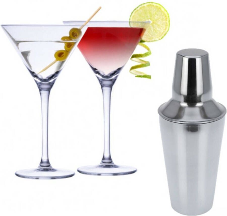 Alpina Set van 4x Martini cocktailglazen met cocktailshaker RVS 220 ml Cocktails drinken Cocktails