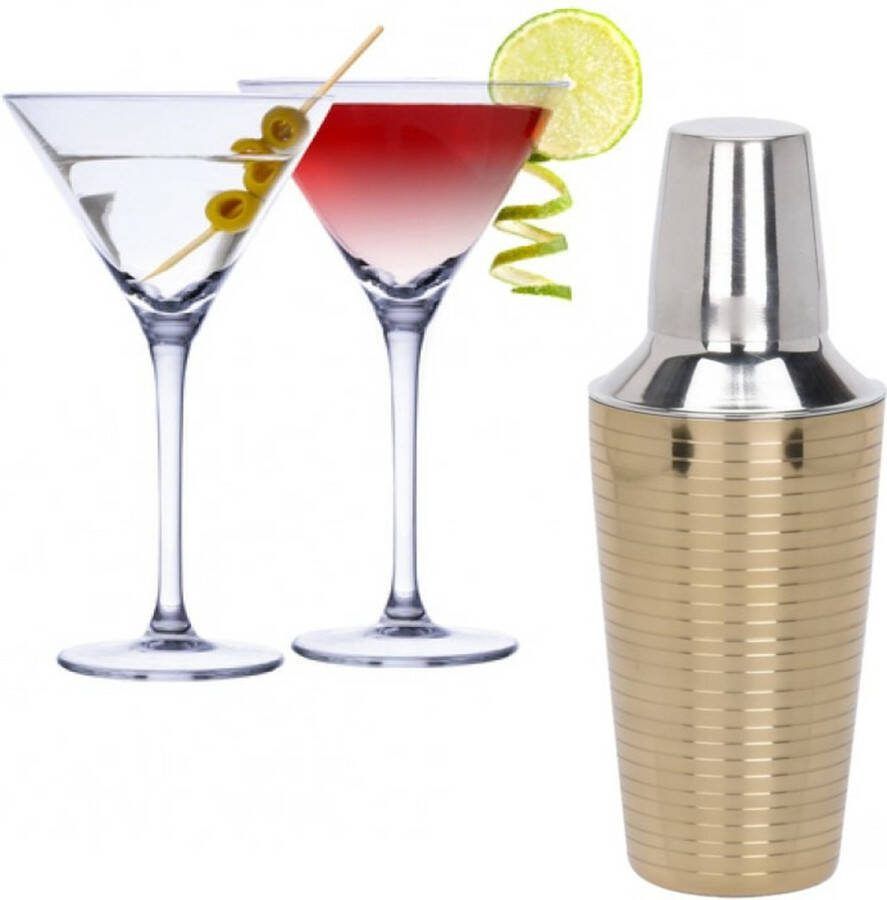 Alpina Set van 4x Martini cocktailglazen met cocktailshaker RVS 220 ml Cocktails drinken Cocktails