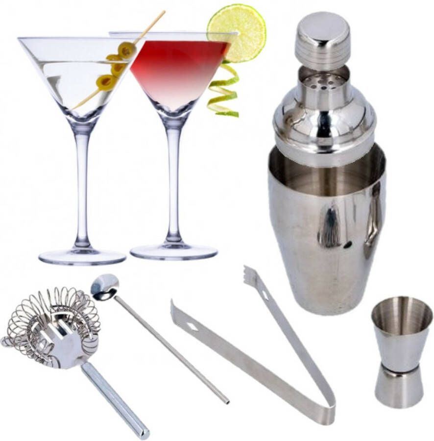 Alpina Set van 4x Martini cocktailglazen met luxe 5-delige cocktailshaker set RVS 220 ml Cocktails drinken Cocktails