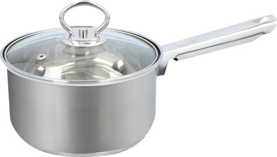 Alpina Steelpan sauspan met deksel van glas Alle kookplaten geschikt zilver D16 x H9 cm rvs Steelpannen