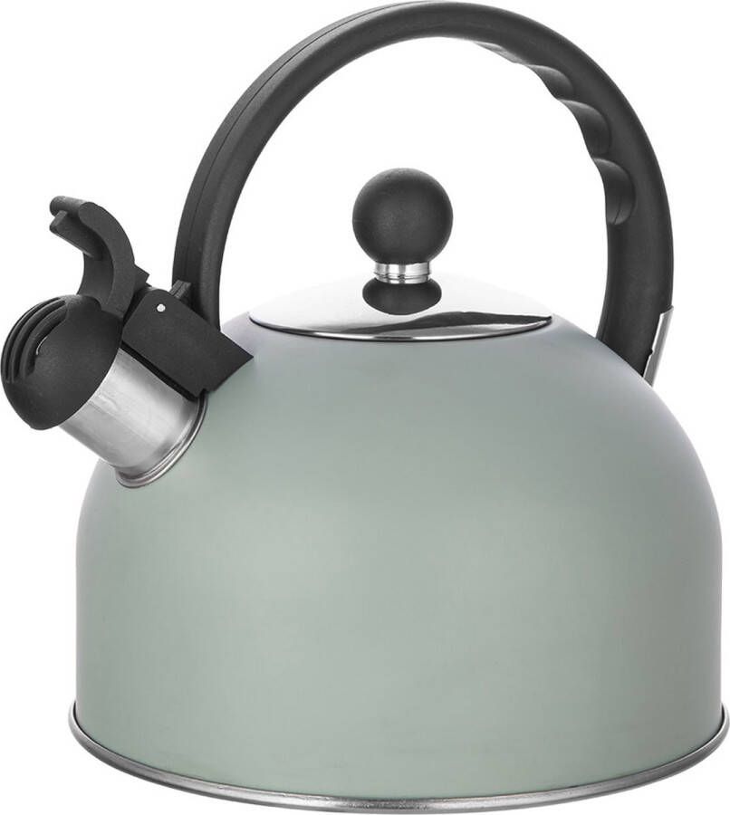 Altom Design Daily fluitketel RVS mat mint groen 2.5 Liter kantelbare fluit geschikt voor alle warmtebronnen koud blijvend handvat