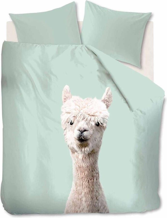 Ambiante Alpaca Dekbedovertrek Eenpersoons 140x200 220 cm Groen