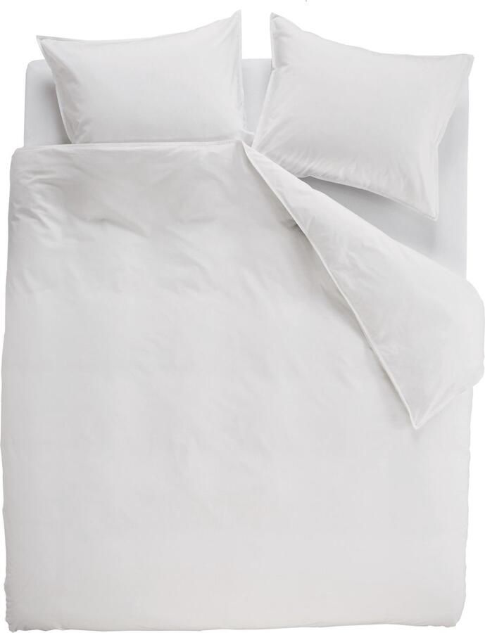 Ambiante Cotton Uni Dekbedovertrek Extra breed 260x200 220 cm Wit