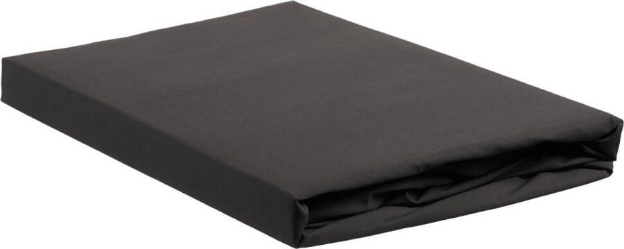 Ambiante Cotton Uni Hoeslaken Anthracite 100% katoen Hoeslaken 160x210 220