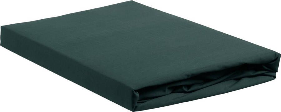 Ambiante Cotton Uni Hoeslaken Lits-jumeaux 180x210 220 cm Dark Green