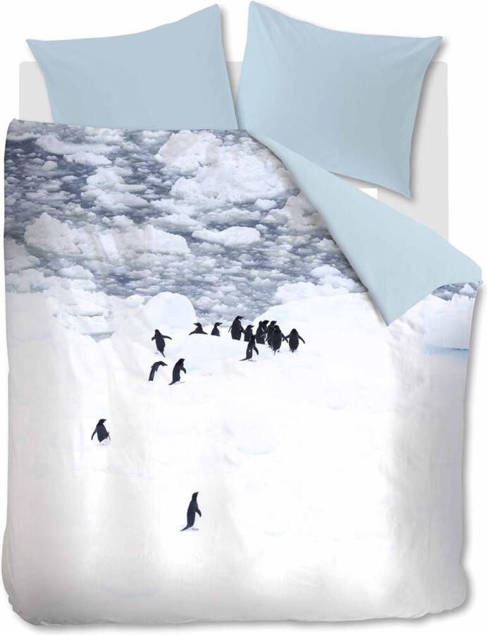 Ambiante Poul dekbedovertrek Lits-jumeaux (240x200 220 cm + 2 slopen) Microvezel Grey