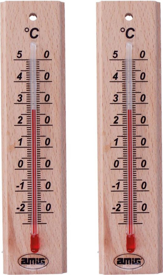 AMIG Thermometer binnen buiten 2x hout bruin 14 x 3 cm