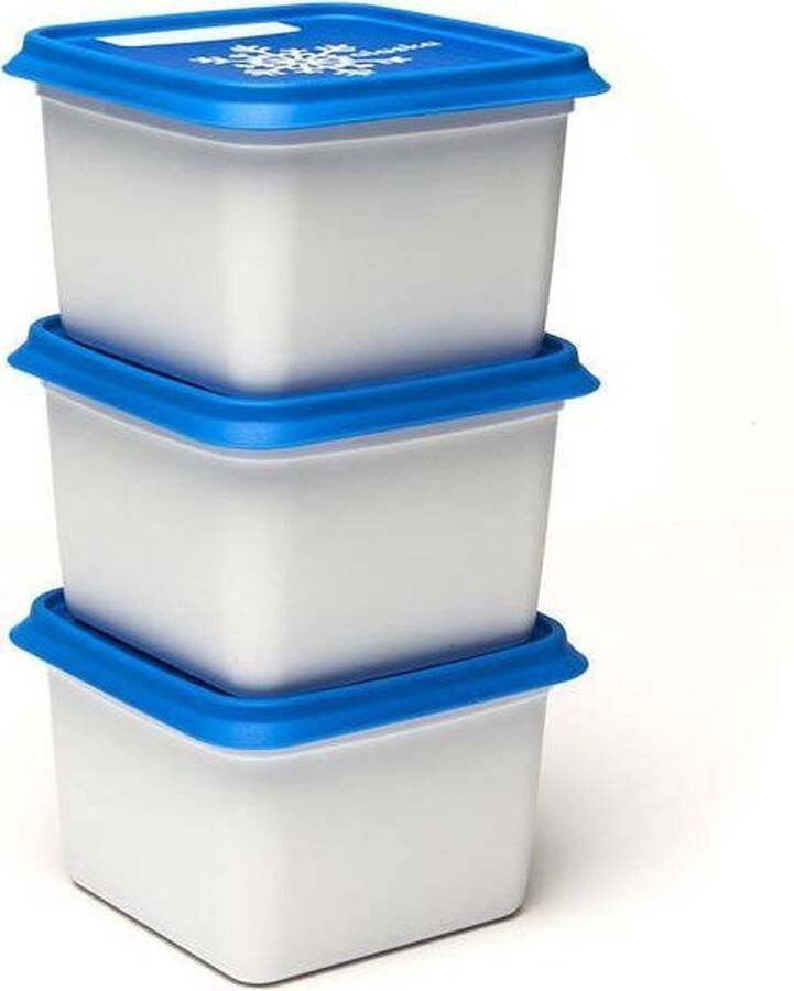 Amuse Alaska Diepvriesdozen Set van 3 Diepvriesbakjes Diepvriesdozen Bewaardozen Vaatwas magnetron en diepvriesbestendig Stapelbaar 3 x 750 ml