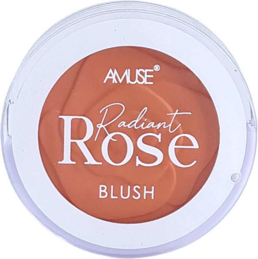 Amuse Radiant Rose Blush 01 Dusty Rose 3.5 g